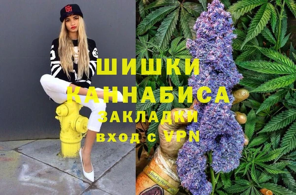 ПСИЛОЦИБИНОВЫЕ ГРИБЫ Козельск