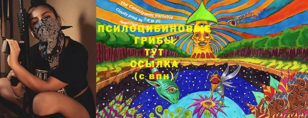 ПСИЛОЦИБИНОВЫЕ ГРИБЫ Козельск