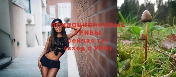ГАЛЛЮЦИНОГЕННЫЕ ГРИБЫ Нижний Тагил