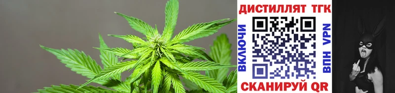 Купить где  Воткинск  ТГК концентрат 