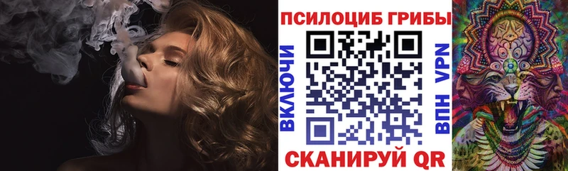 Псилоцибиновые грибы Psilocybe  Купить закладки  Воткинск 
